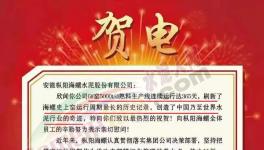 又是海螺水泥！創(chuàng)造世界水泥行業(yè)奇跡！