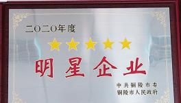 樅陽海螺獲得銅陵市多項(xiàng)榮譽(yù)稱號(hào)