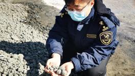 順利通關(guān)！4萬(wàn)多噸韓國(guó)熟料進(jìn)入中國(guó)！