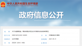 生態(tài)環(huán)境部出臺(tái)意見(jiàn)嚴(yán)格審查“兩高”項(xiàng)目！