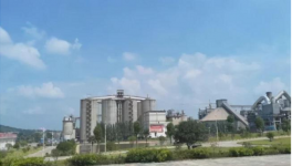 水泥行業(yè)的“華為”，一年凈賺300億！