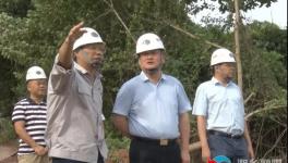 南方水泥上半年?duì)I收3.65億元！新項(xiàng)目推進(jìn)中！