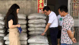 市場上這7個(gè)主要水泥品牌被質(zhì)量抽檢！