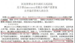 冀東水泥旗下公司破產(chǎn)清算！選聘專業(yè)機構(gòu)