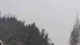 突發(fā)！8死20傷！又是超載罐車惹禍！