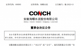 大動作！海螺、金隅冀東、山水高層人事調(diào)整！