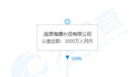 加速收購(gòu)！海螺水泥在下一盤大棋！