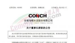 海螺水泥公告：王誠(chéng)不再擔(dān)任公司法定代表人！