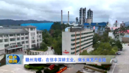 海螺子公司3條熟料生產(chǎn)線實(shí)現(xiàn)營(yíng)收118億！