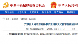 突發(fā)！海螺原董事長被查！