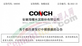 缺錢！海螺子公司“架空”！“借錢”100億 ！