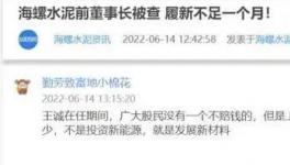 海螺蒸發(fā)1300億，逾700億元投資或存變數(shù)！