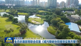 環(huán)保政策加嚴(yán)！氨逃逸不超標(biāo)這些企業(yè)做到了！