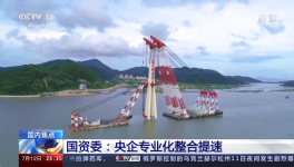 央視新聞報道：中國建材專業(yè)化整合成效經(jīng)驗交流！