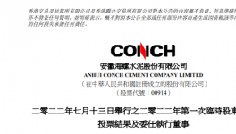 降薪！海螺員工工資大降52%！