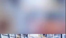 殺公雞！開窯！水泥廠“辟邪”！