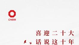 喜迎二十大:話說(shuō)這十年，專業(yè)化整合深入推進(jìn) 產(chǎn)業(yè)布局不斷優(yōu)化