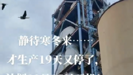 全停！最長(zhǎng)200天！20個(gè)省水泥廠停產(chǎn)！