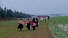 反撲！多省工地停工！水泥廠停發(fā)！商混站“告急”！