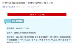 公告！多家水泥廠被賣！