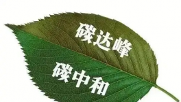 縫出匠心！這家環(huán)保企業(yè)脫穎而出！市場占有率名列前茅！