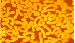 對比明顯，這個材料完勝！最長可用8年，節(jié)約電費百萬！