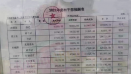 工資曝光！村長“秒殺”水泥廠高管！