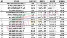 瘋狂！“上下”通吃！海螺連續(xù)成立50多家公司！