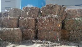 創(chuàng)收40萬(wàn)/天！替代燃料降本火了！