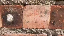 氣憤！“山寨”水泥！“假水泥”泛濫！