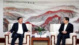 太慘了！大跌235元/噸！水泥產(chǎn)量創(chuàng)10年最大跌幅！