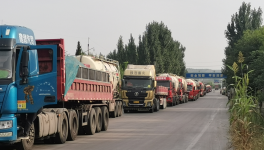 ?水泥廠又排隊(duì)了！原因竟是……