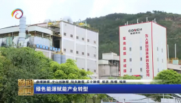 海螺水泥兩家工廠同一天都上電視啦！